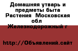 Домашняя утварь и предметы быта Растения. Московская обл.,Железнодорожный г.